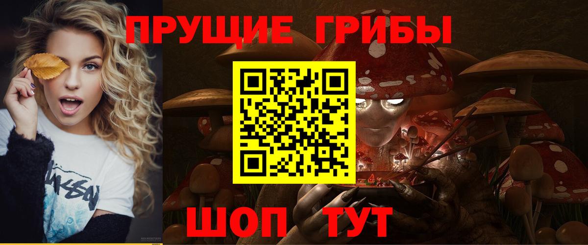 Псилоцибиновые грибы ЛСД  Вход с VPN  Галлюциногенные грибы Psilocybe  Камышин 